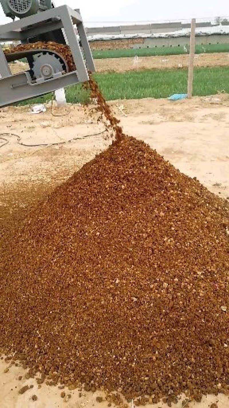 菌渣有机肥生物颗粒燃料废菌渣微生物菌肥