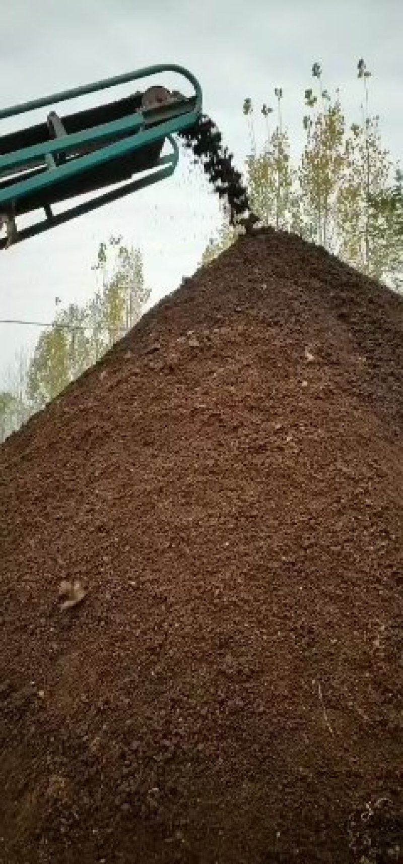 平菇废菌渣金针菇菌渣糖渣微生物菌肥