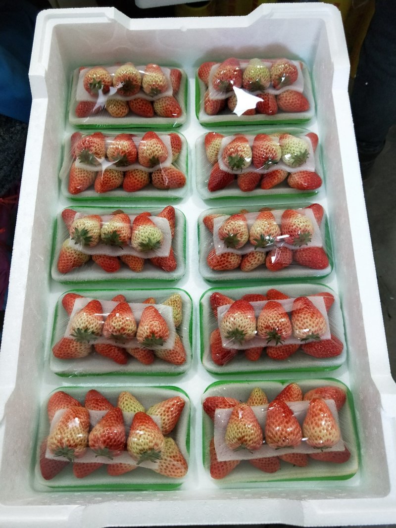辽宁丹东九九草莓，微商，商超，市场，烘焙，代办代包装