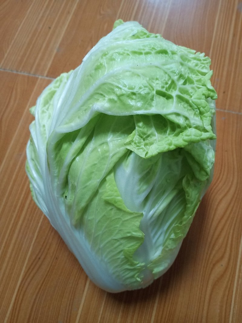 白菜