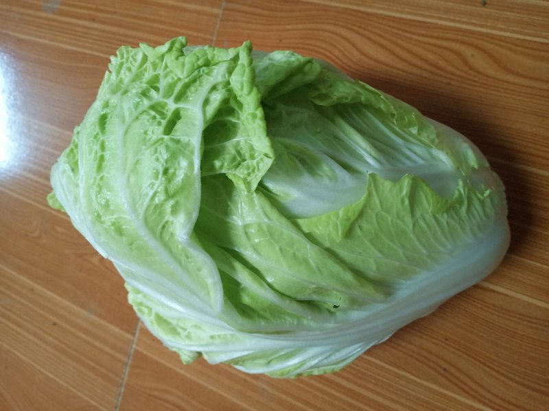 白菜