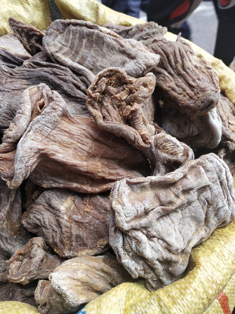 云南农村自制晒干笋片大量上市，长期供货
