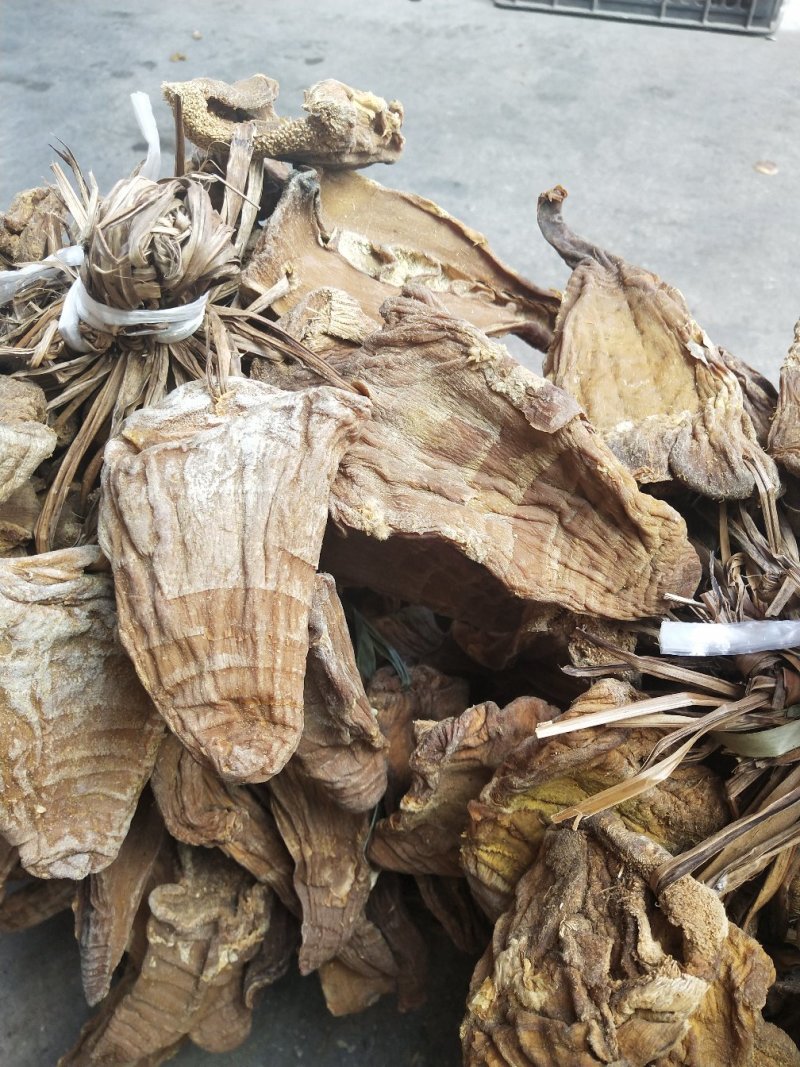云南农村自制晒干笋片大量上市，长期供货