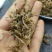 垂盆草中草药野生干垂盆草新货无杂质净货