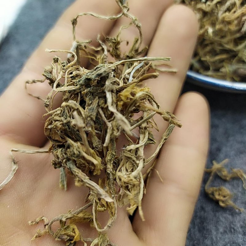 垂盆草中草药野生干垂盆草新货无杂质净货