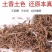 垂盆草中草药野生干垂盆草新货无杂质净货