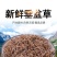 垂盆草中草药野生干垂盆草新货无杂质净货