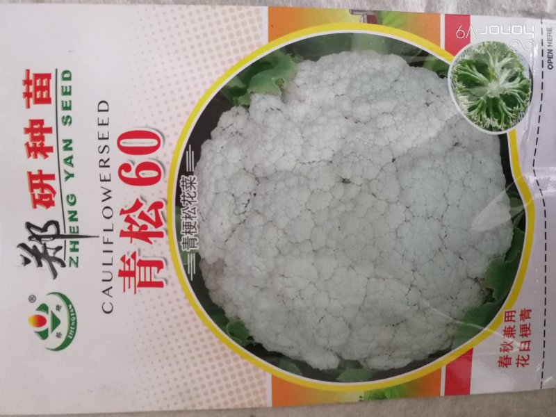 【精】郑研青松85菜花种子，花白梗青，小米粒