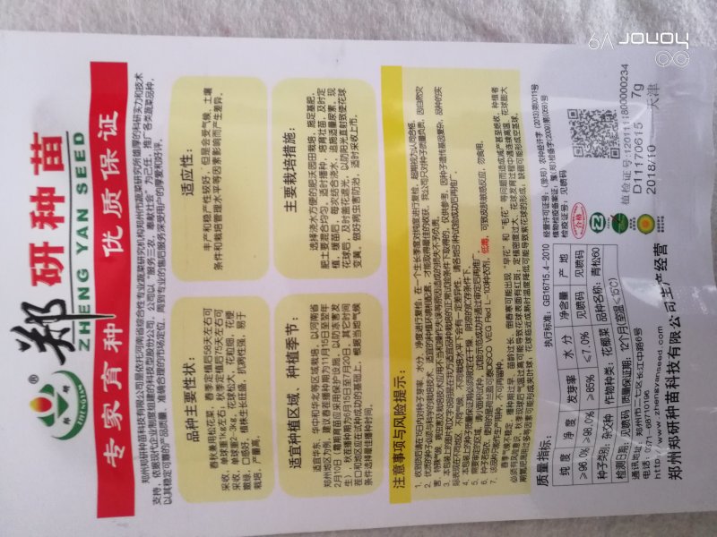 【精】郑研青松85菜花种子，花白梗青，小米粒
