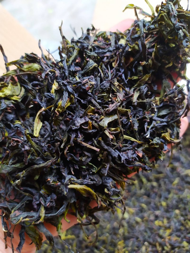 八仙土山茶诏安富硒八仙茶高山茶叶八仙茶潮汕惠来醇香土山茶