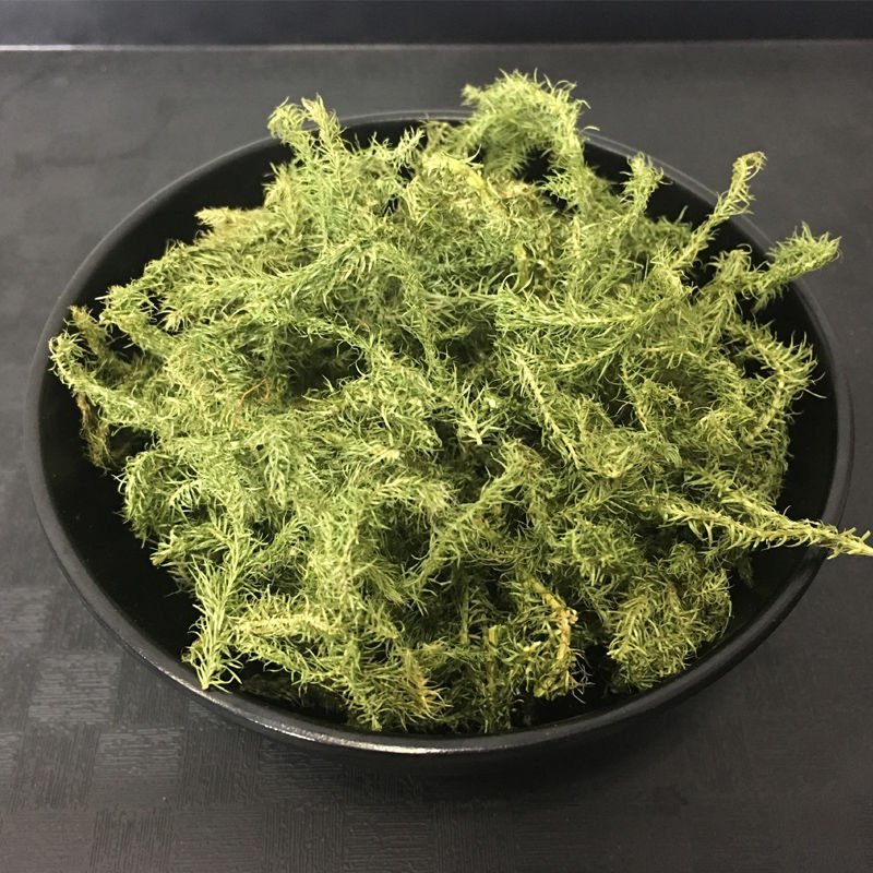 伸筋草新货正品无硫伸筋草货干无杂质无硫