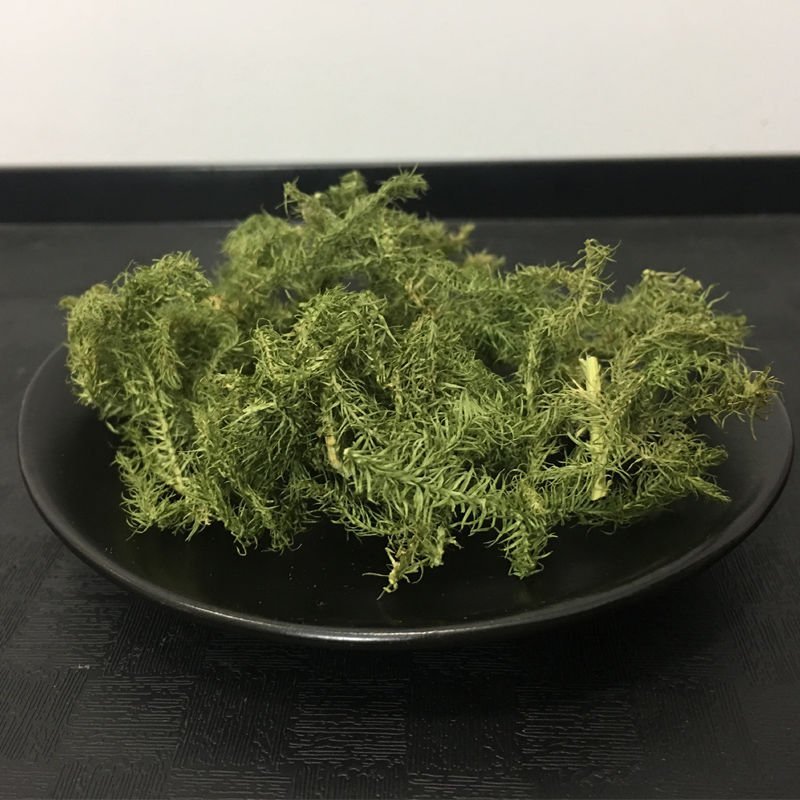 伸筋草新货正品无硫伸筋草货干无杂质无硫