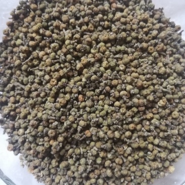 江西中花吴茱萸子干货