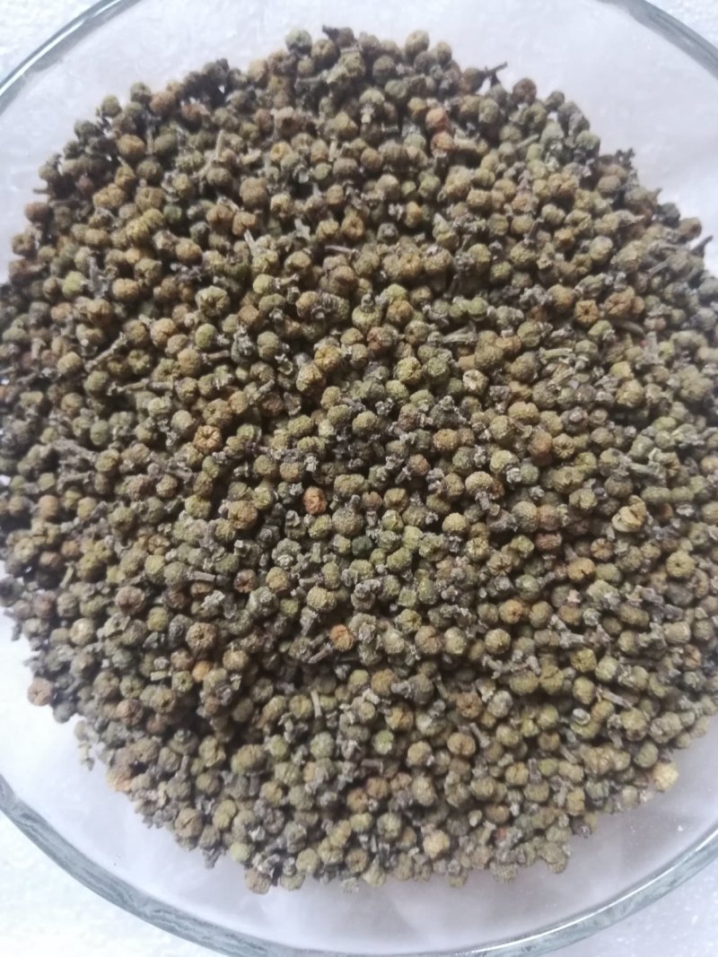 江西中花吴茱萸子干货
