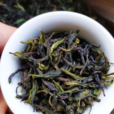 高山茶叶八仙土山茶心潮汕八仙茶惠来高山土山茶1斤1袋
