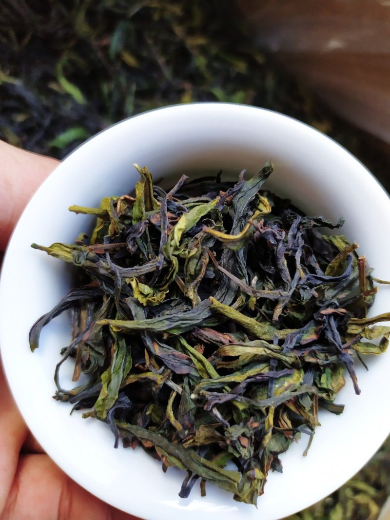 高山茶叶八仙土山茶心潮汕八仙茶惠来高山土山茶1斤1袋