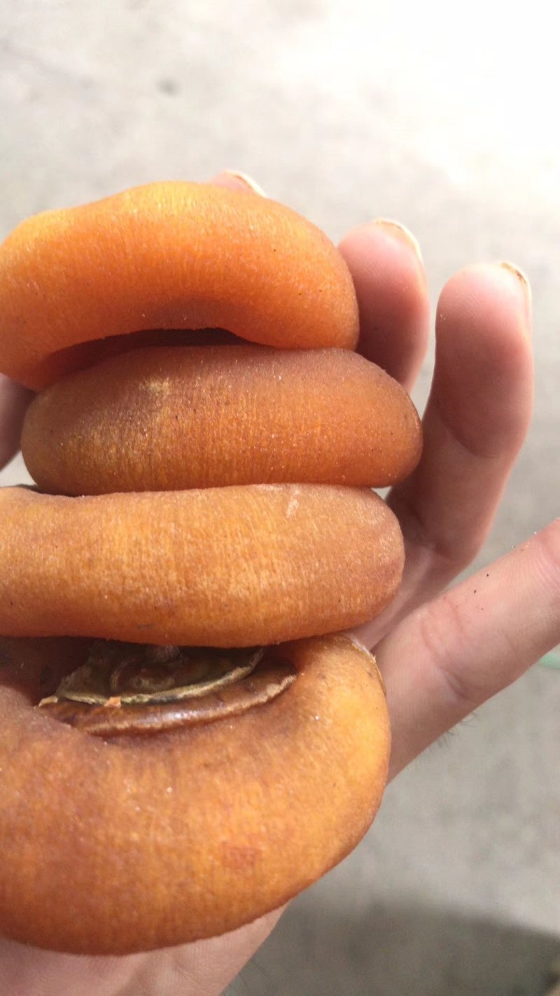恭城柿饼，天然降霜柿饼电商平台一件代发