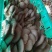切块平菇速冻平菇基地直供货源充足