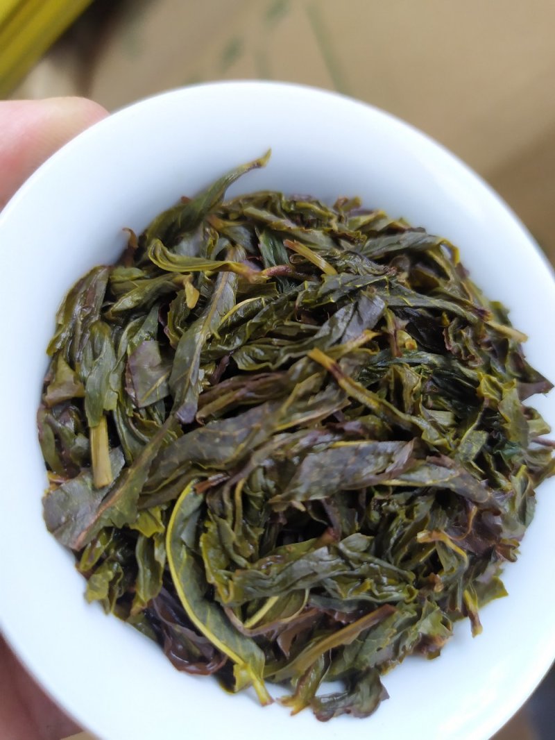 高山黄旦茶惠来本地茶黄旦土山茶清香八仙茶潮汕黄旦土山茶