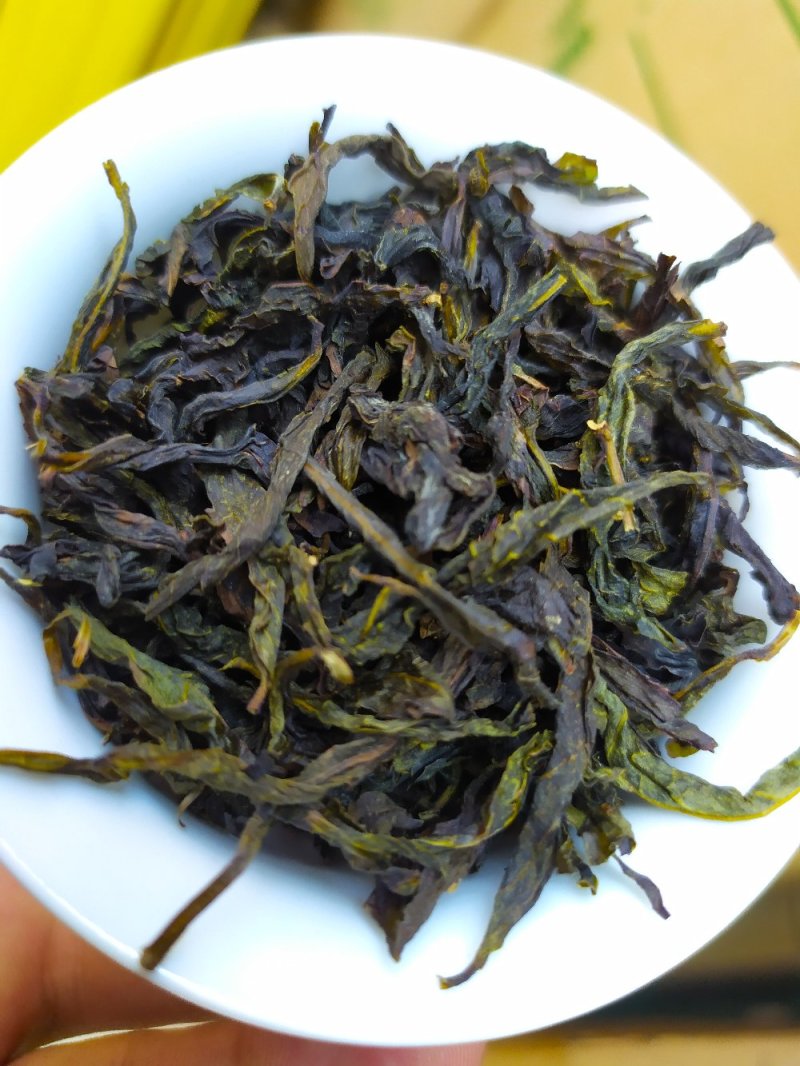 高山黄旦茶惠来本地茶黄旦土山茶清香八仙茶潮汕黄旦土山茶