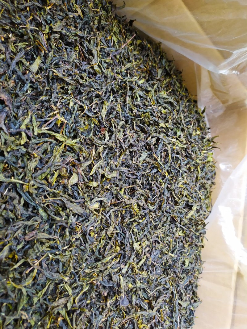高山黄旦茶惠来本地茶黄旦土山茶清香八仙茶潮汕黄旦土山茶