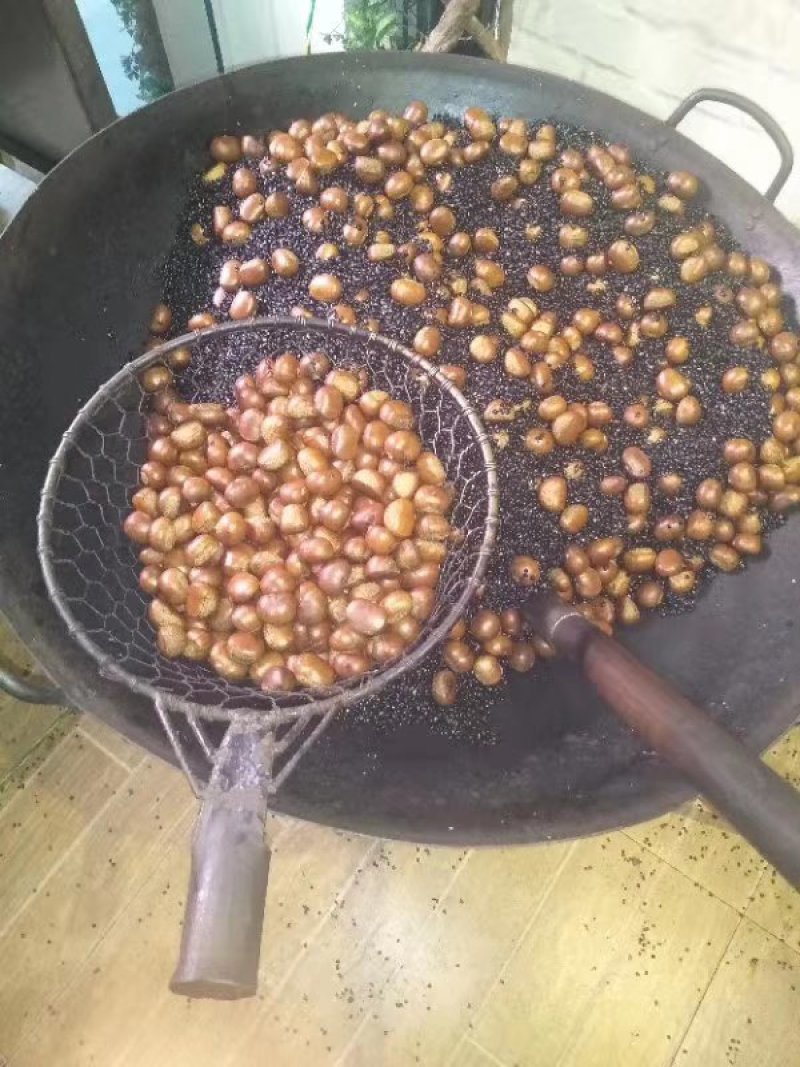 云南野生板栗，，，，，，