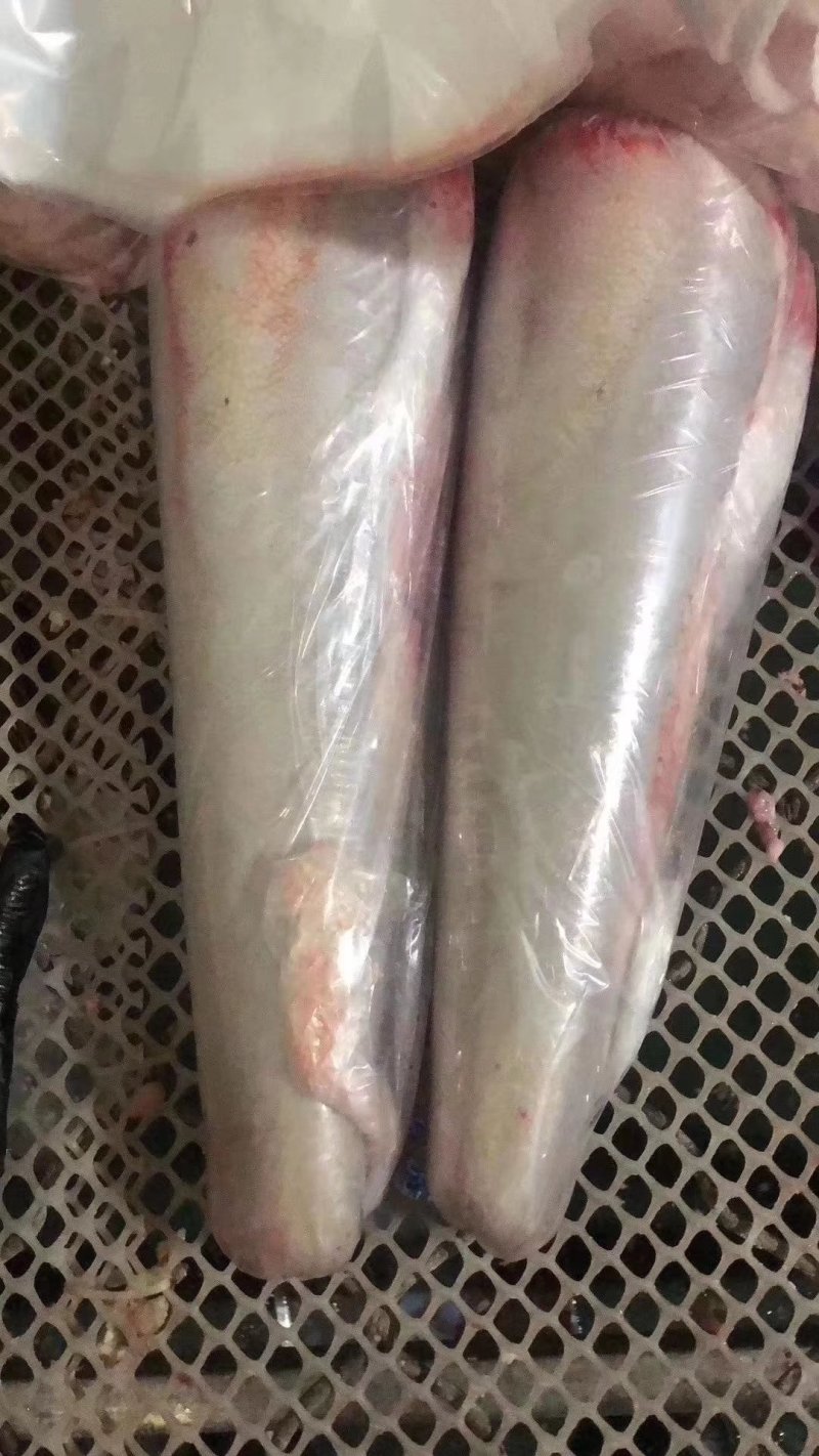 国产牛舌