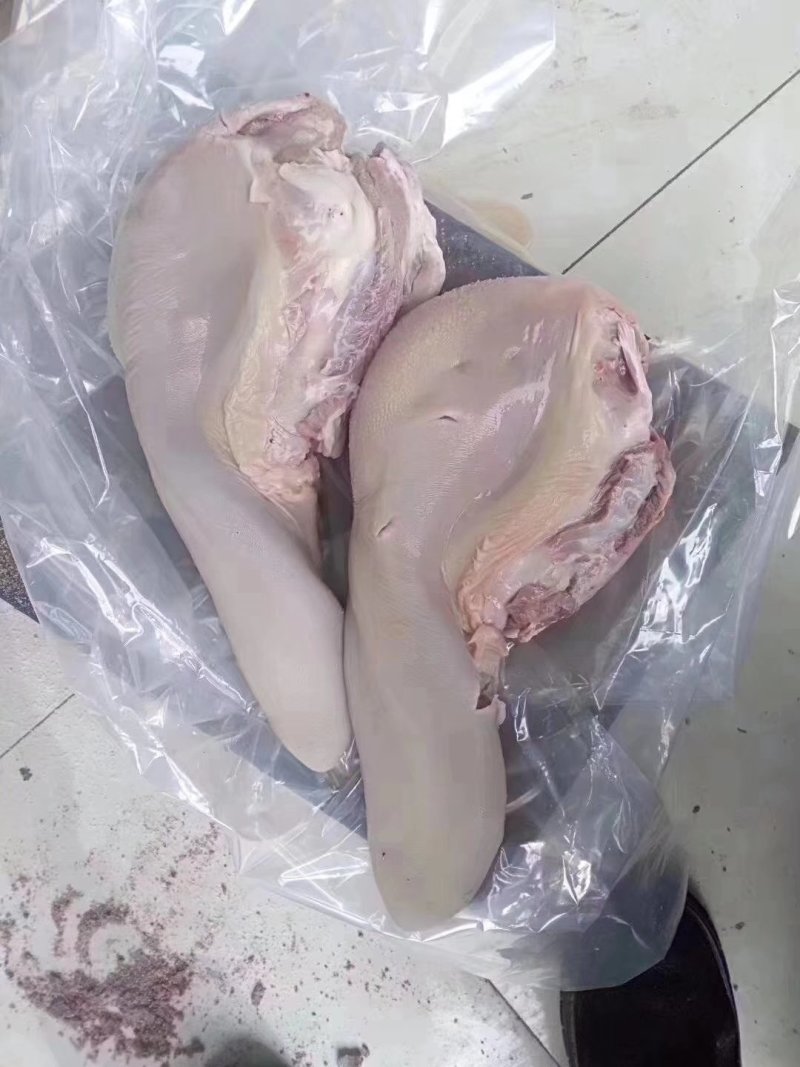 国产牛舌