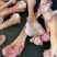 驴肉请选购优质驴肉马肉板肠下水