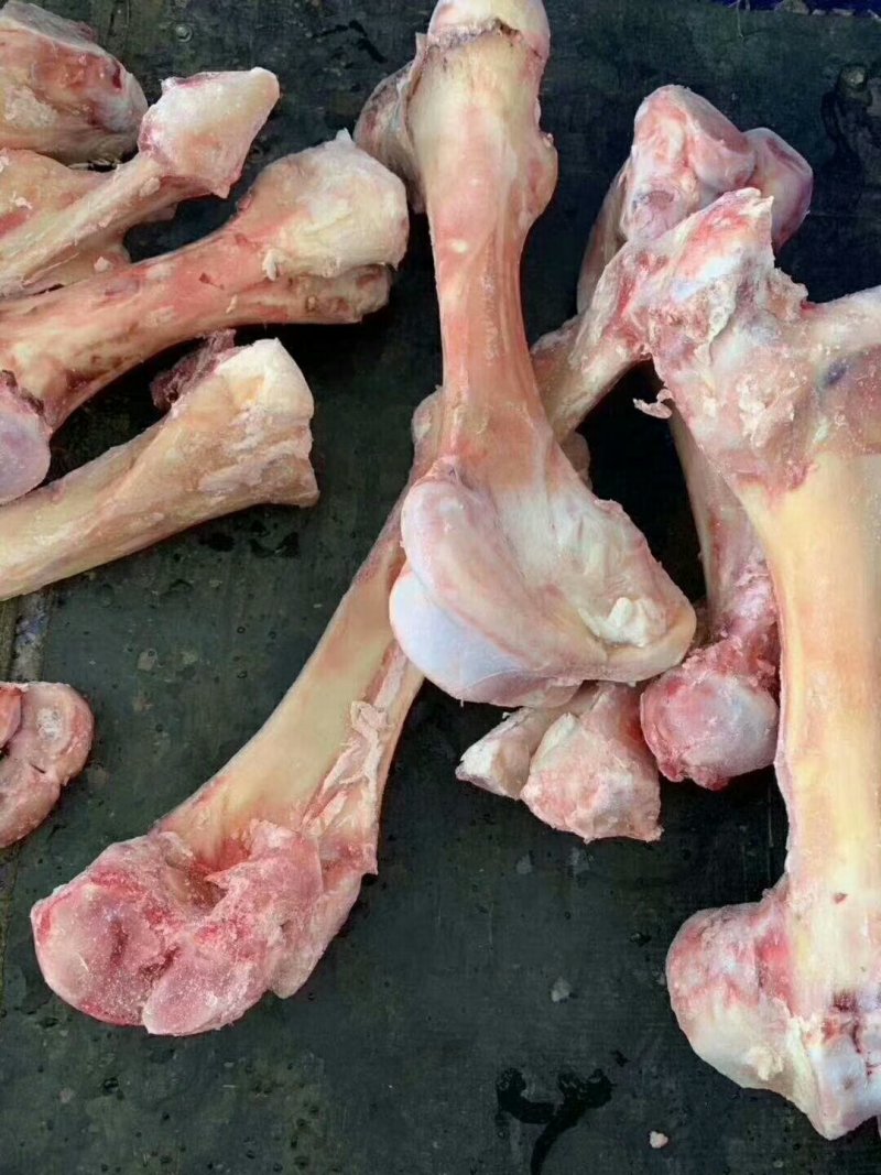 驴肉请选购优质驴肉马肉板肠下水