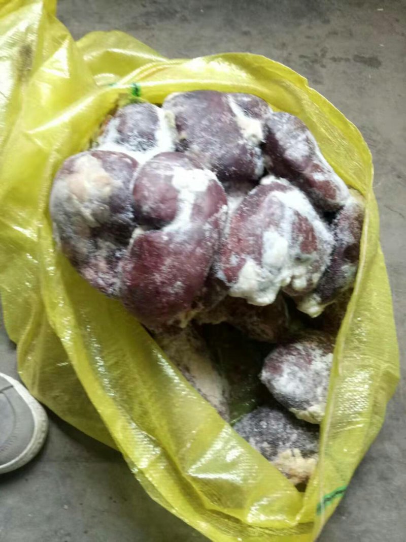 驴肉请选购优质驴肉马肉板肠下水