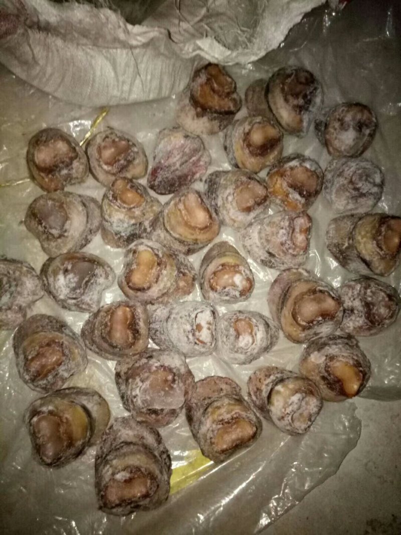 驴肉请选购优质驴肉马肉板肠下水