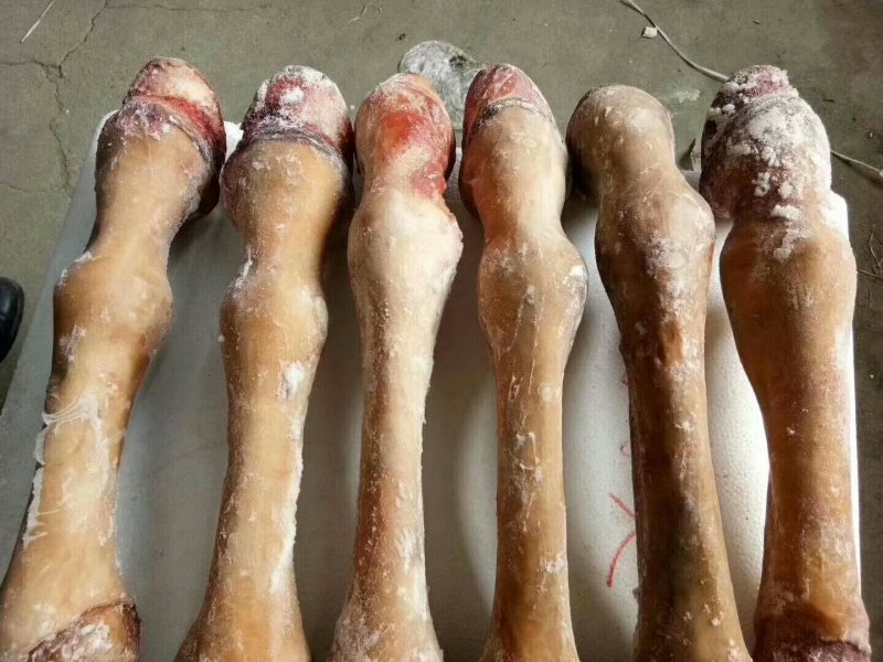 驴肉请选购优质驴肉马肉板肠下水