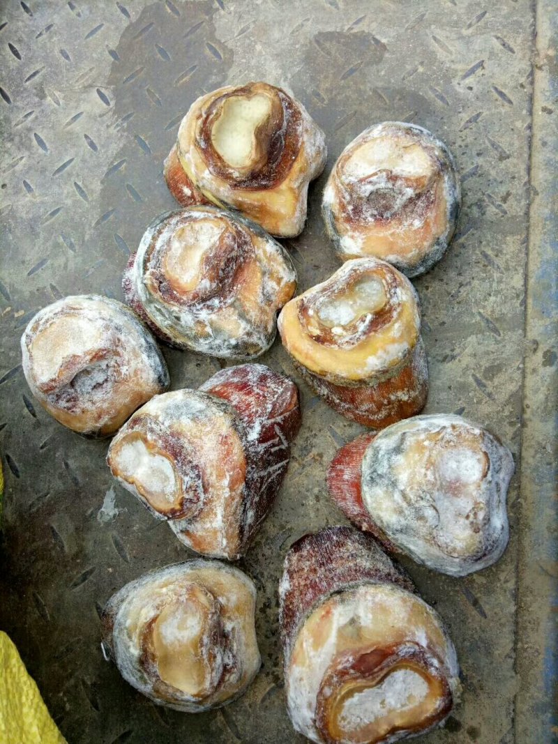驴肉请选购优质驴肉马肉板肠下水