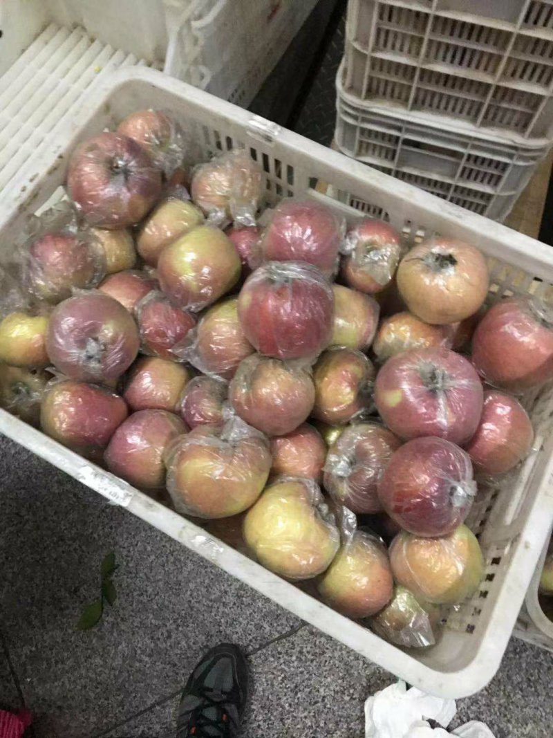 【精品】潍坊万亩膜袋红富士苹果脆甜可口，保质保量