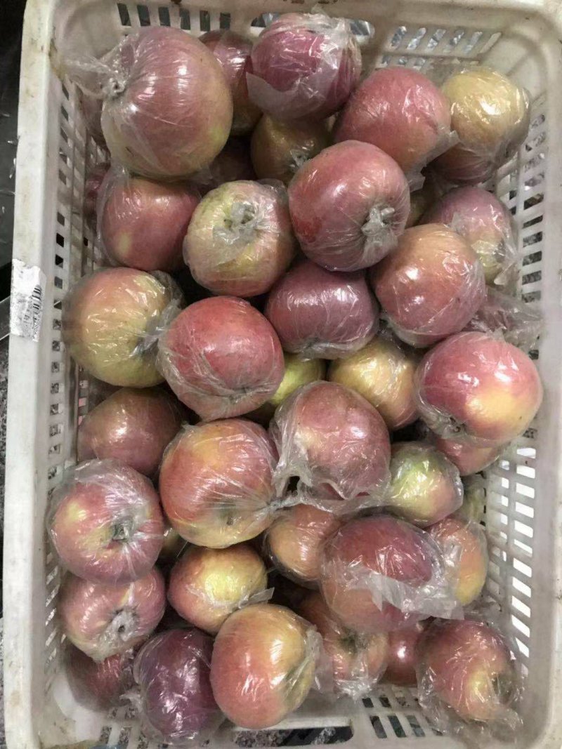 【精品】潍坊万亩膜袋红富士苹果脆甜可口，保质保量