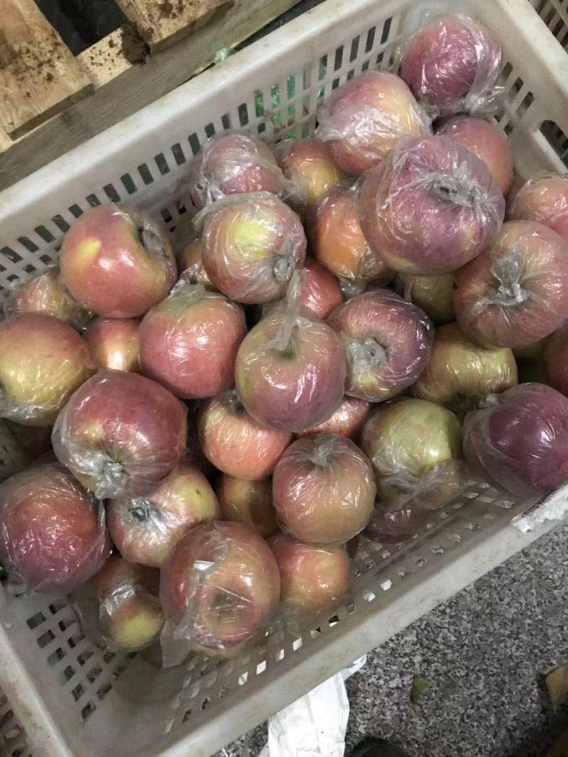 【精品】潍坊万亩膜袋红富士苹果脆甜可口，保质保量