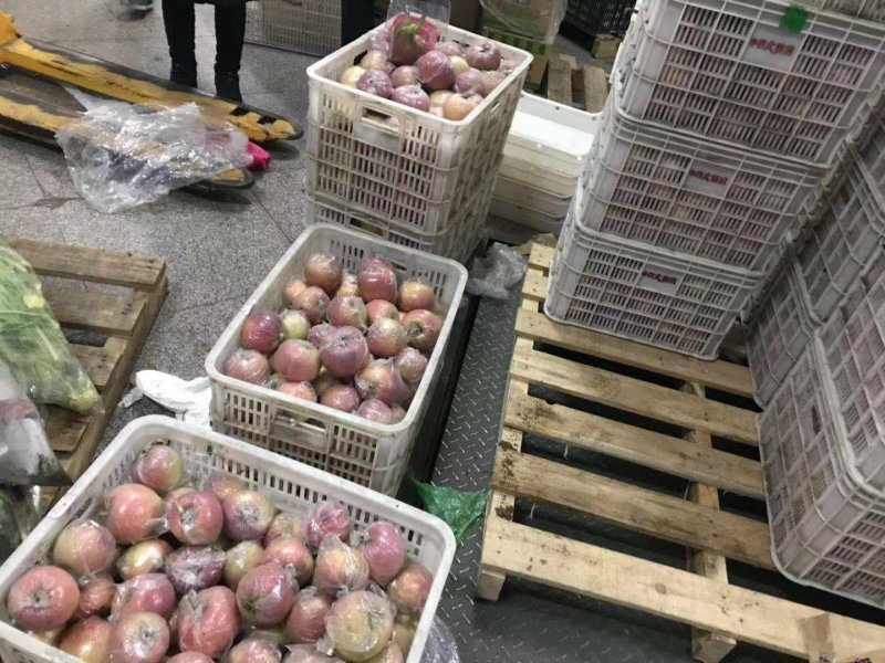 【精品】潍坊万亩膜袋红富士苹果脆甜可口，保质保量
