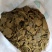 棉籽饼_厂家直销量大供应&各种蔬菜优选之一