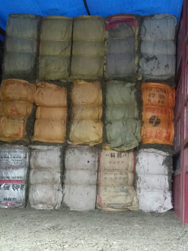 荔枝草雪见草千余品种供应承接订单