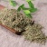 侧柏叶柏叶优质侧柏叶无硫净货保正品批发零售中药材