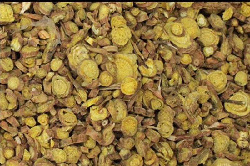 黄芩新种子，大量现货，90%发芽率，全国包邮。