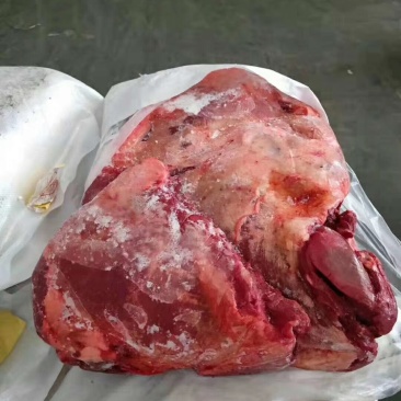 驴肉请选购优质驴肉马肉板肠下水等