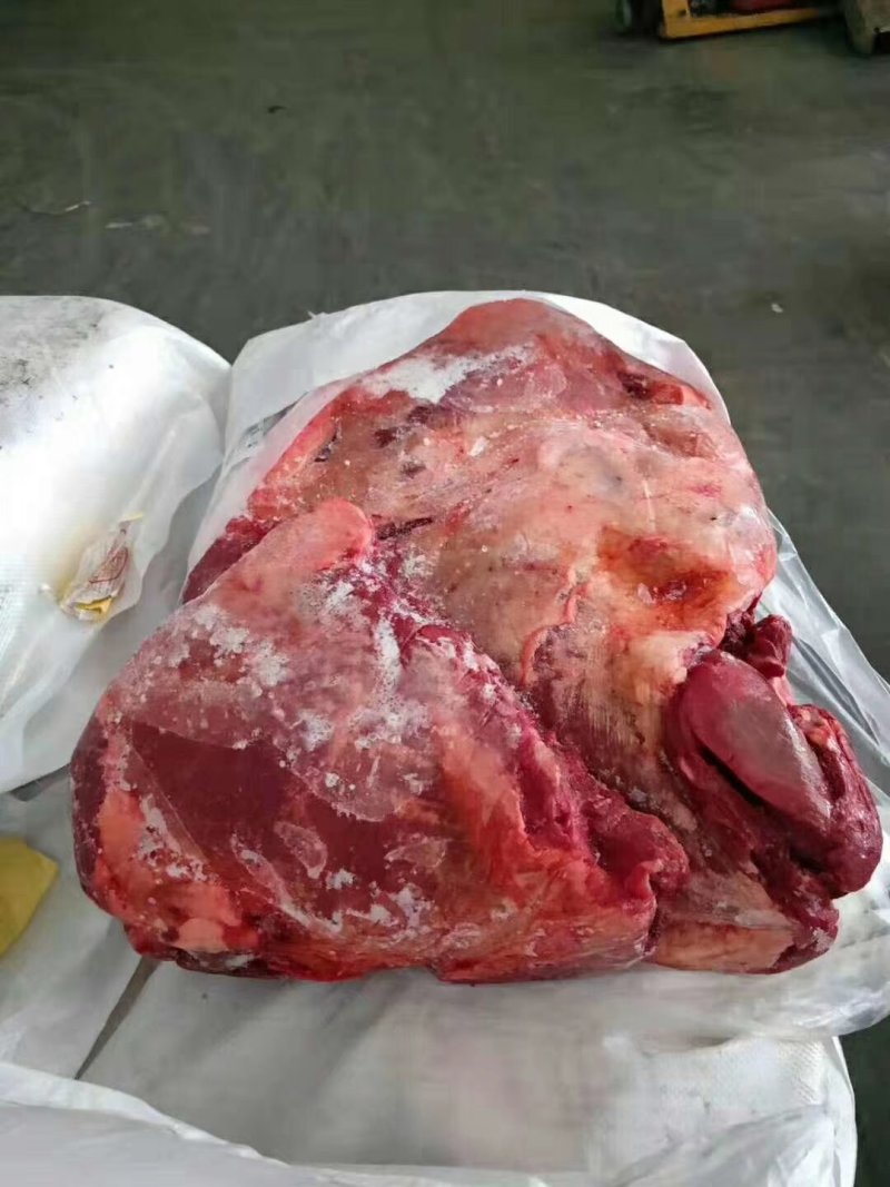 驴肉请选购优质驴肉马肉板肠下水等