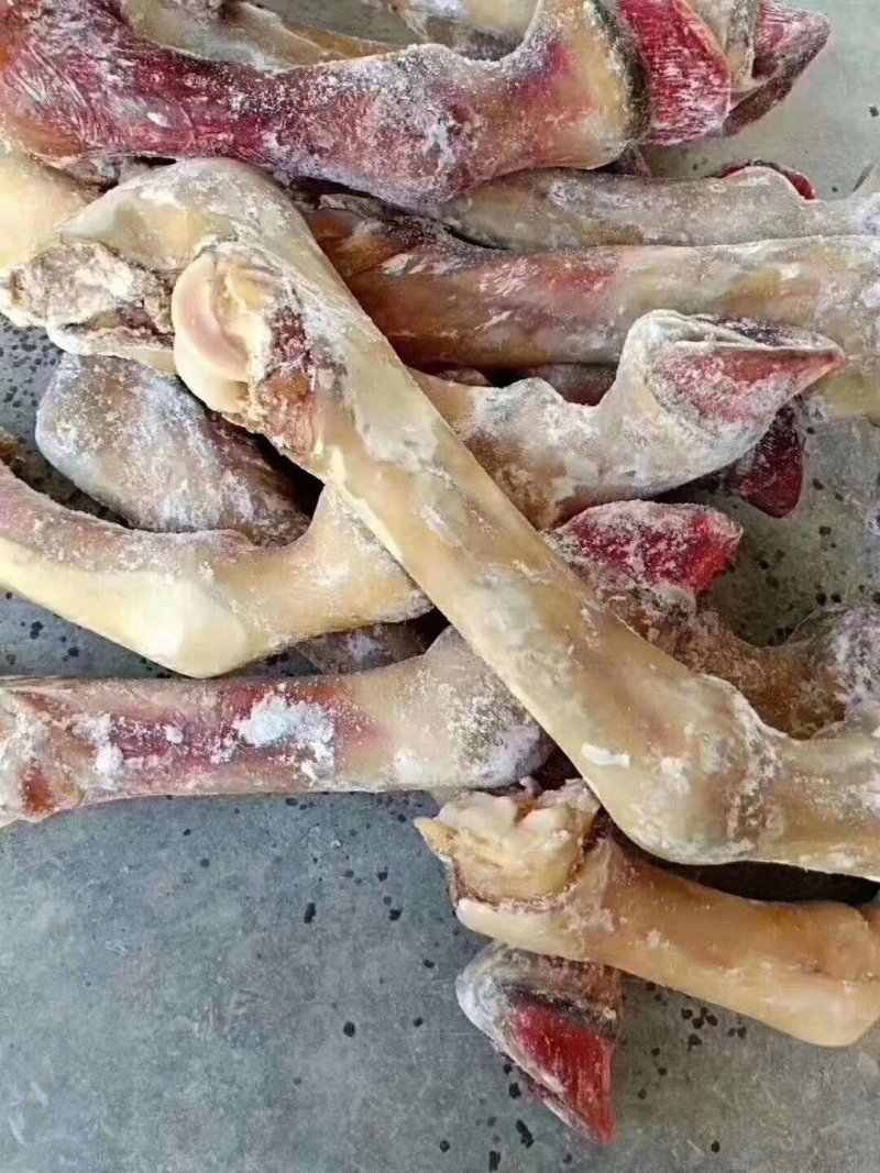 驴肉请选购优质驴肉马肉板肠下水等