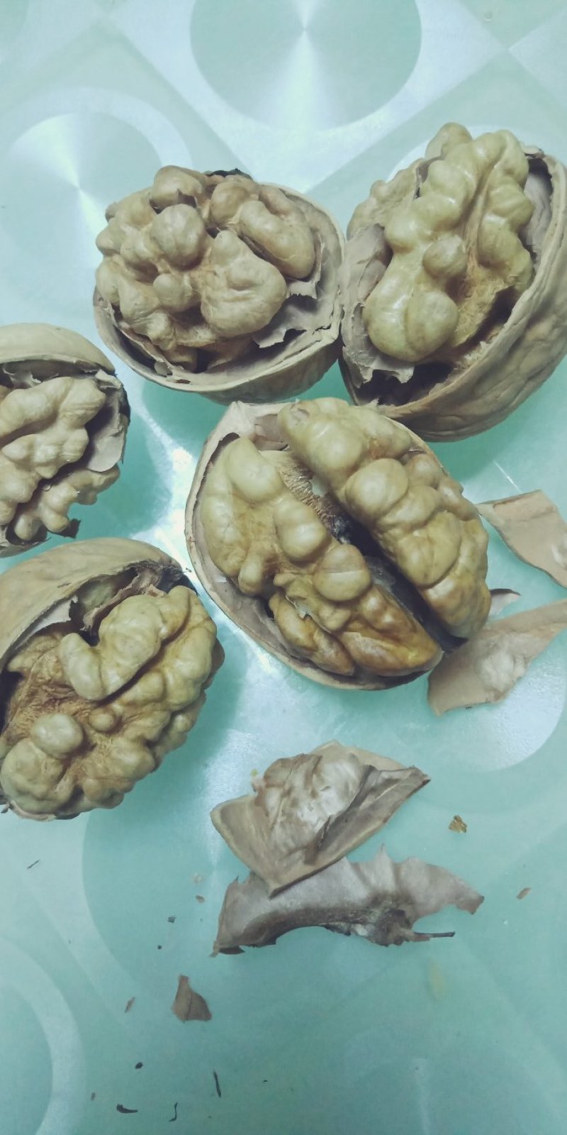 【核桃】新疆185纸皮核桃24年新货，自产自销