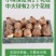 水仙花种球水培水养球根植物绿植花卉冬季开花漳州水