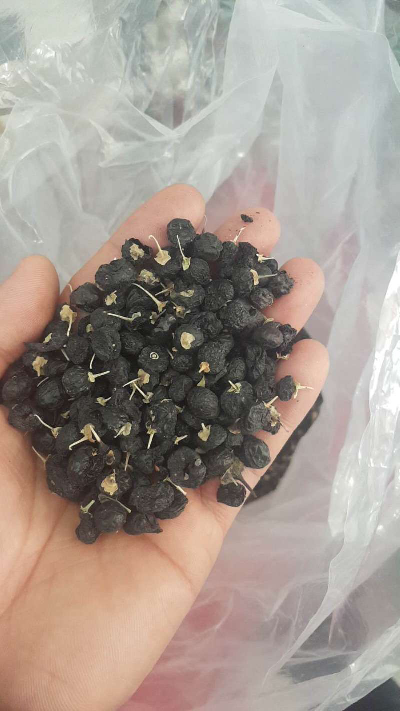 来自大美新疆的特产干果