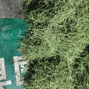 豆角丝架豆王干豆角丝天然日晒15cm以上下