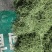 豆角丝架豆王干豆角丝天然日晒15cm以上下